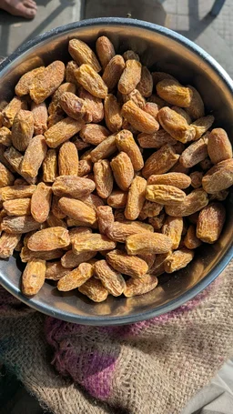 White Dry Dates Semi Bold - 25