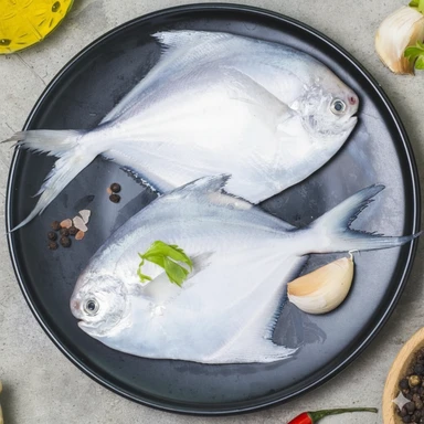 Fish|سمك