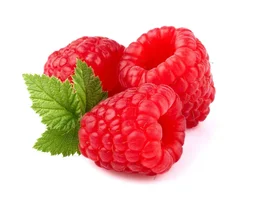 Raspberry|توت العُليق