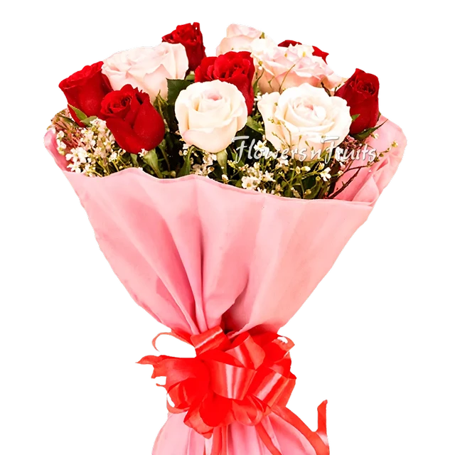 Red & White Rose