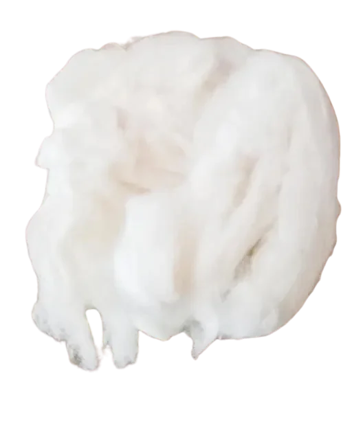 Cotton - 10 Grams