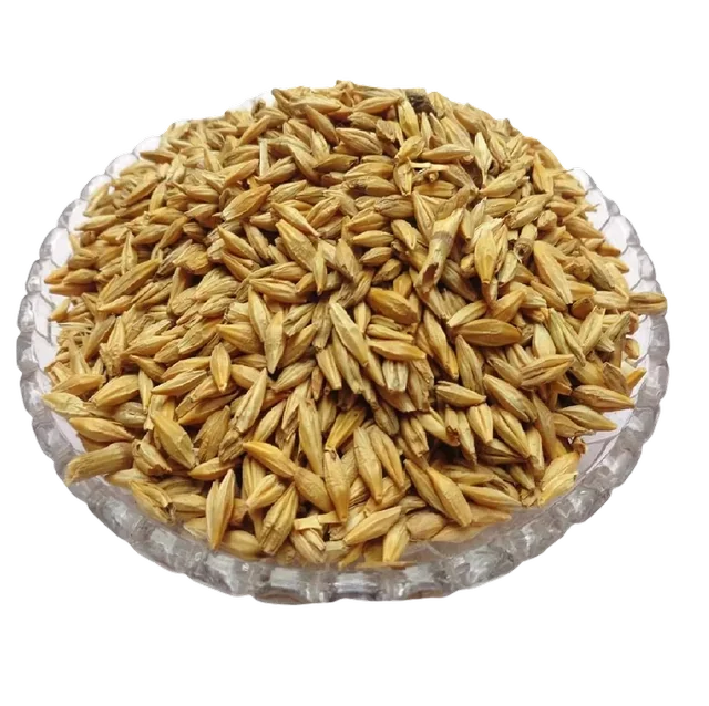 Bhakti Basket Jau - 10 grams