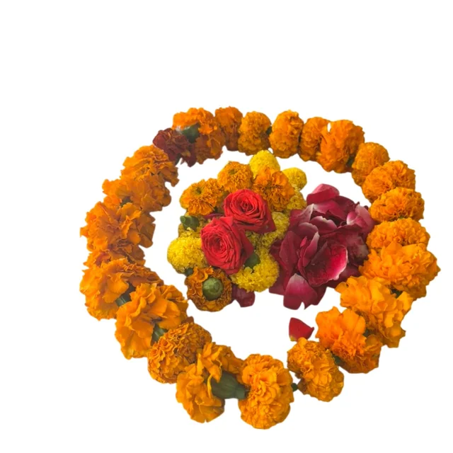 Aaradhya (आराध्य)