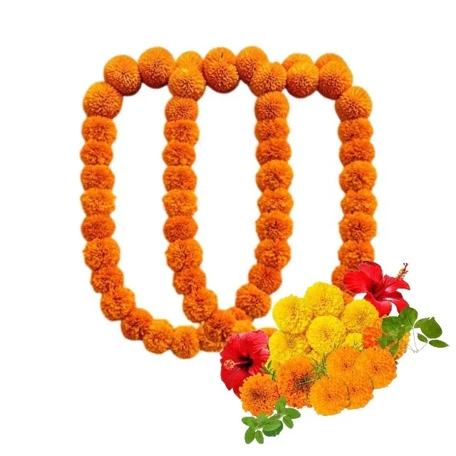 Anant (अनंत)