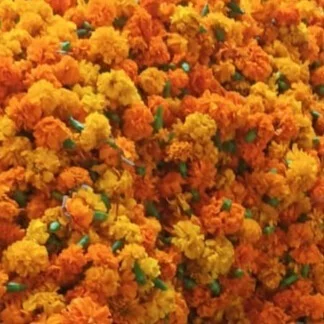 Marigold Jaffery-Genda (loose) - 500 Grams