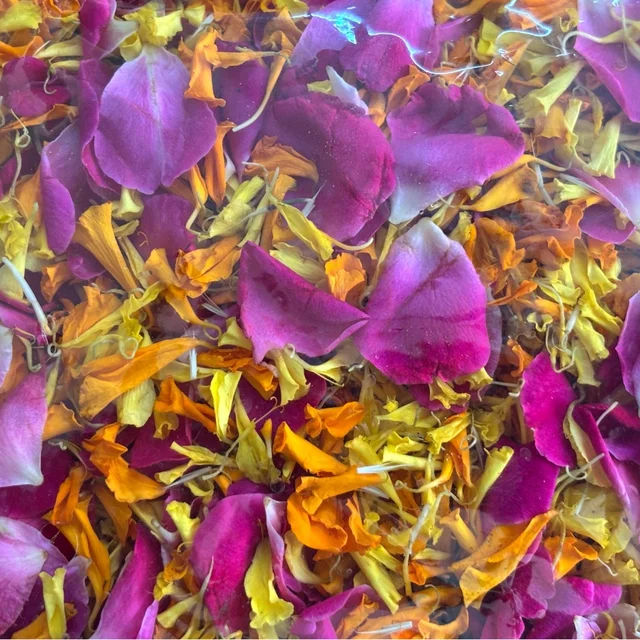 Mix Petails - Marigold & Rose