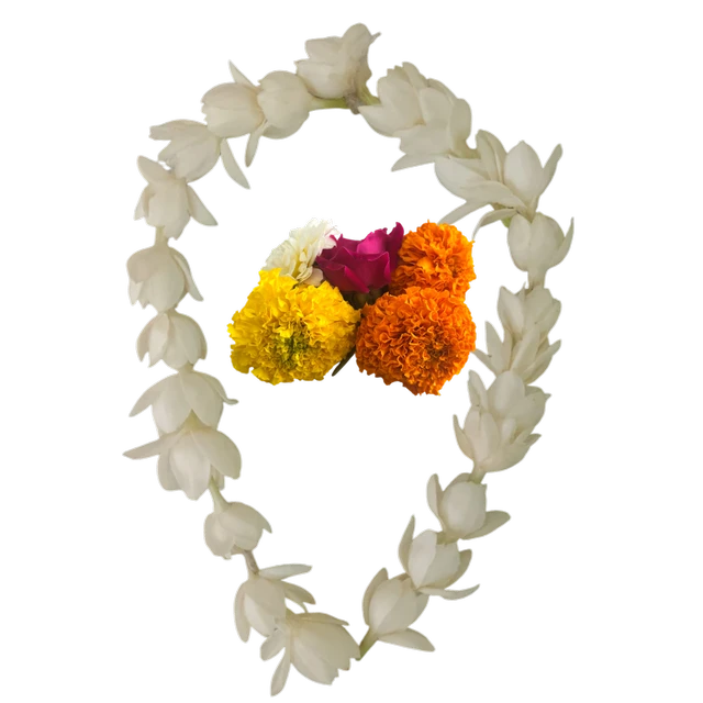 Astha (आस्था)