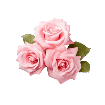Pink Rose - Per piece