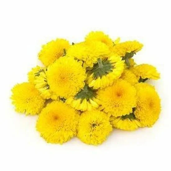 Guldavari (Yellow) flower