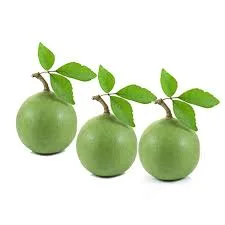 Bel