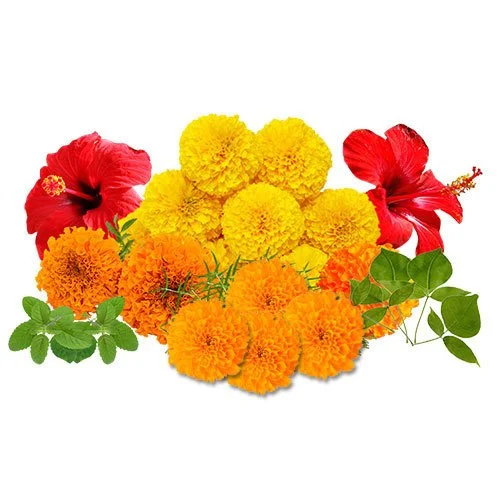 Mix flowers