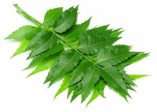 Neem leaves - per bundle