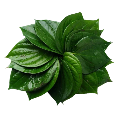 Paan Patta