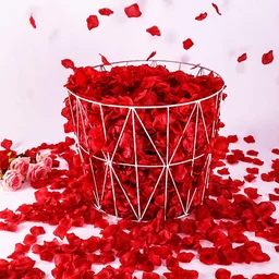 Rose Petals - 100 Grams