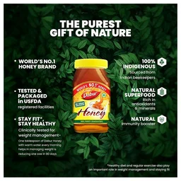 Dabur India Ltd. Dabur Honey - 250 gm.