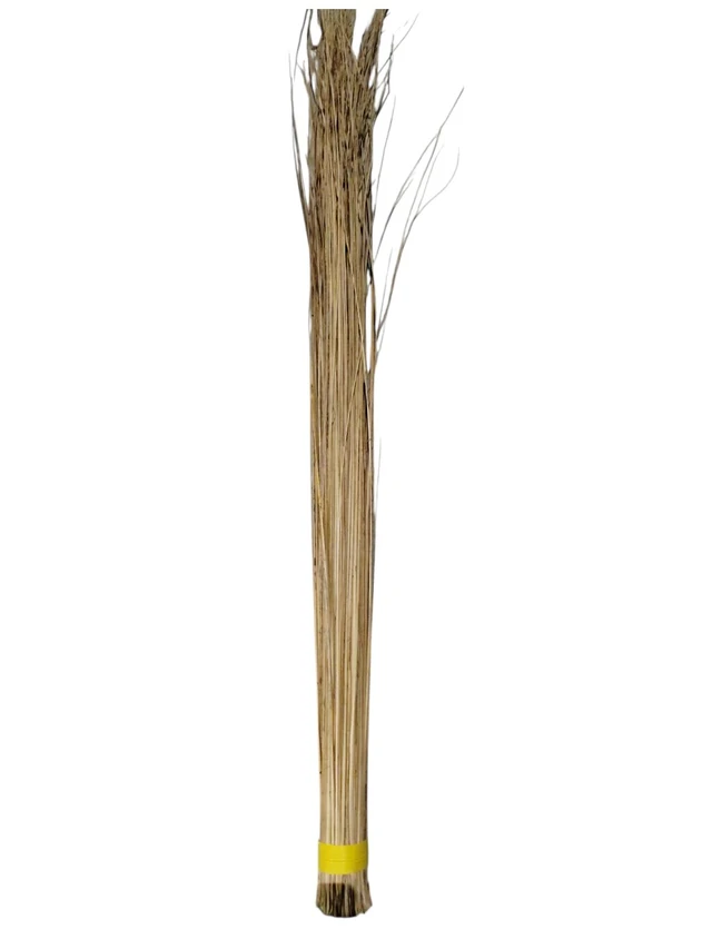 Coconut Broom (Manjha) - 1N.