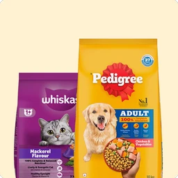 Pet Store