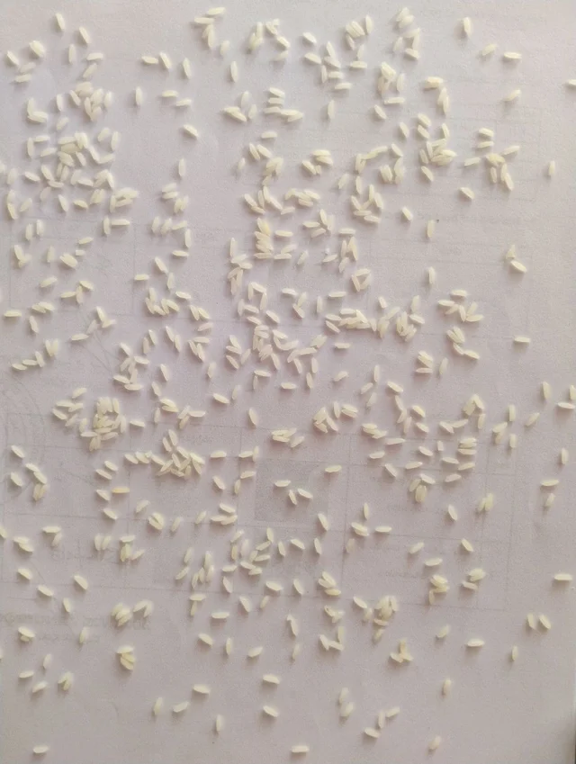 Keshar kali wada kolam - 30 KG
