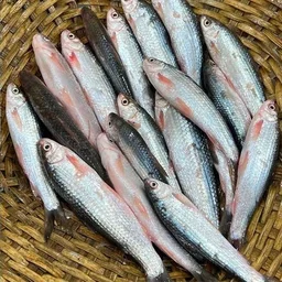 Desi Bata (Gross Weight -500g)