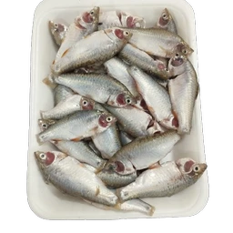 Desi Puti ( Gross Weight 250g)