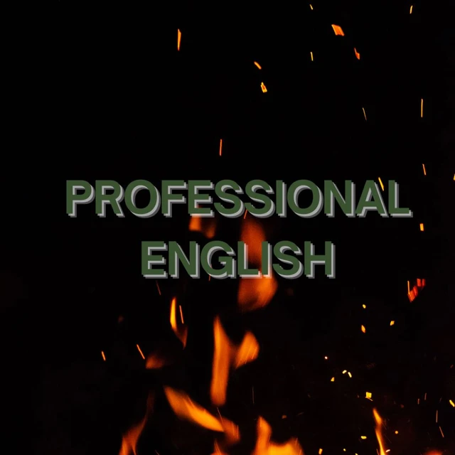 Professional English 