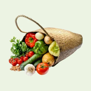 Vegetable Bag