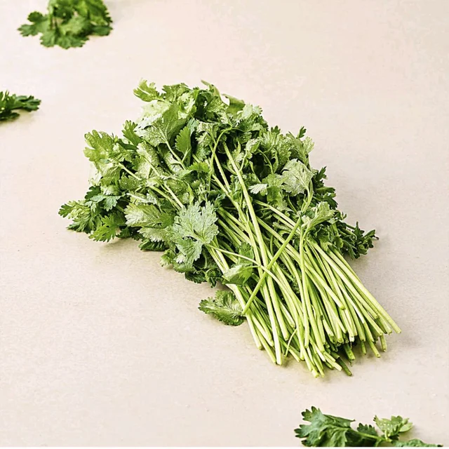 Coriander Leves 100g - Green