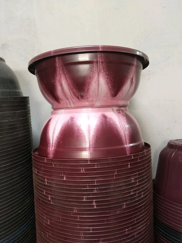 VEERA COLLER 