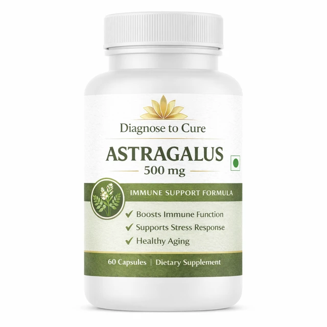 Astragalus Extract – Energy, Immunity & Longevity Support