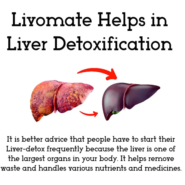 Livomate Liver Support | Ayurvedic Detox & Cleanse with Kutki