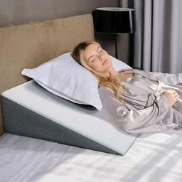 Centuary Mattress Buy Centuary Wedge Pillow Size 22 X 24 Available At Bodakdev Ahmedabad Gujarat India