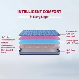 Kurlon Mattresses Kurlon Duorest Popular 5 And 6 And 7 inch Mattressess - 10 years warranty Wholesaler In Ahmedabad Gujarat India - 72 x 36 x 7, Royal Blue