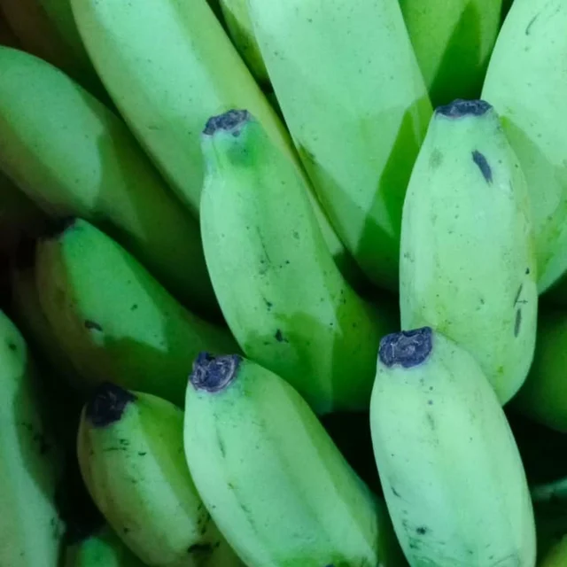 Robest Pazam 450 to 500gm (Fruits)