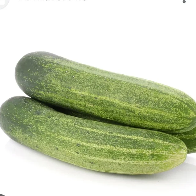 Cucumber 400 To 500gm (Veg)
