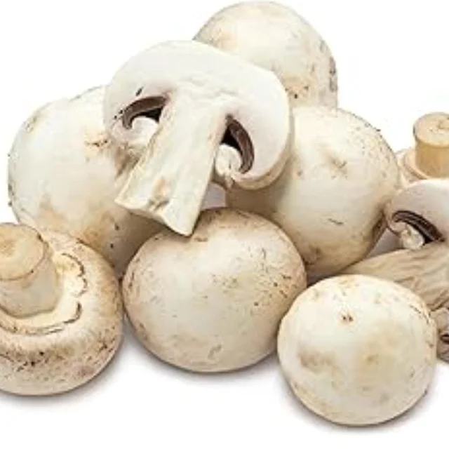 button mushrooms 1 Box (exotic)