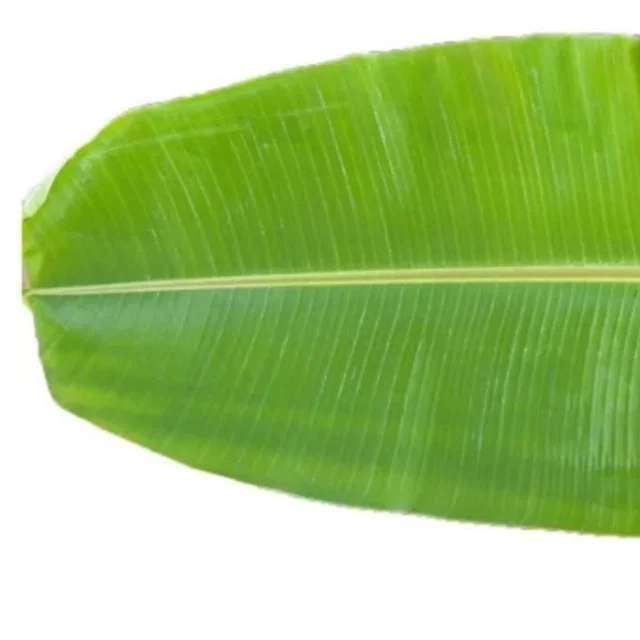 Banana Leaf 10no (Veg)