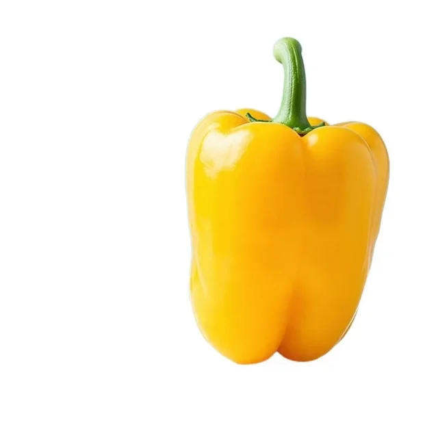 Yellow capsicum 150 to 200gm (exotic)