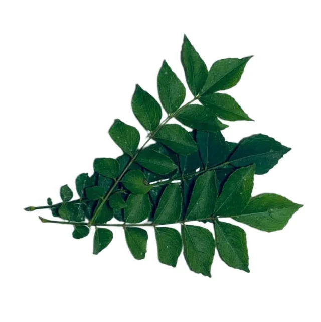 Veppila / curry leaves 1Bunch (Veg)