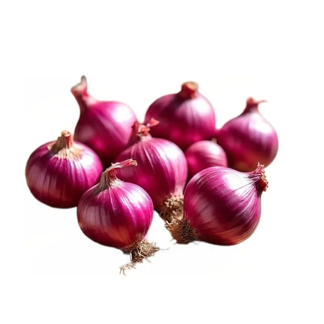 Premium Savolo / Big Onion 400-500gm (Veg)