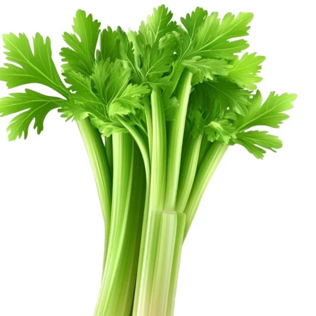 Celery cleaned 80 To 100g (exotic)