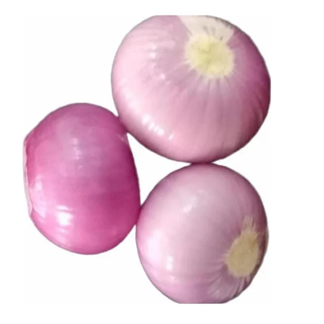 Savolo/ Big Onion Peeled 250gm (VegCuts)
