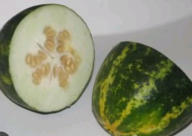Vellari Yellow Cucumber 200- 250gm (Veg)