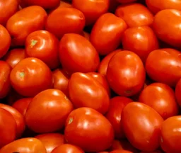 Tomato 1 Kg