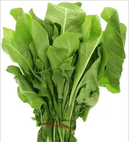 Spinach 1 Pic