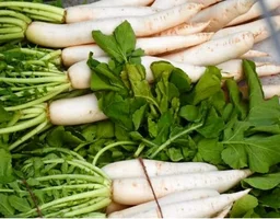 Raddish 1 Kg