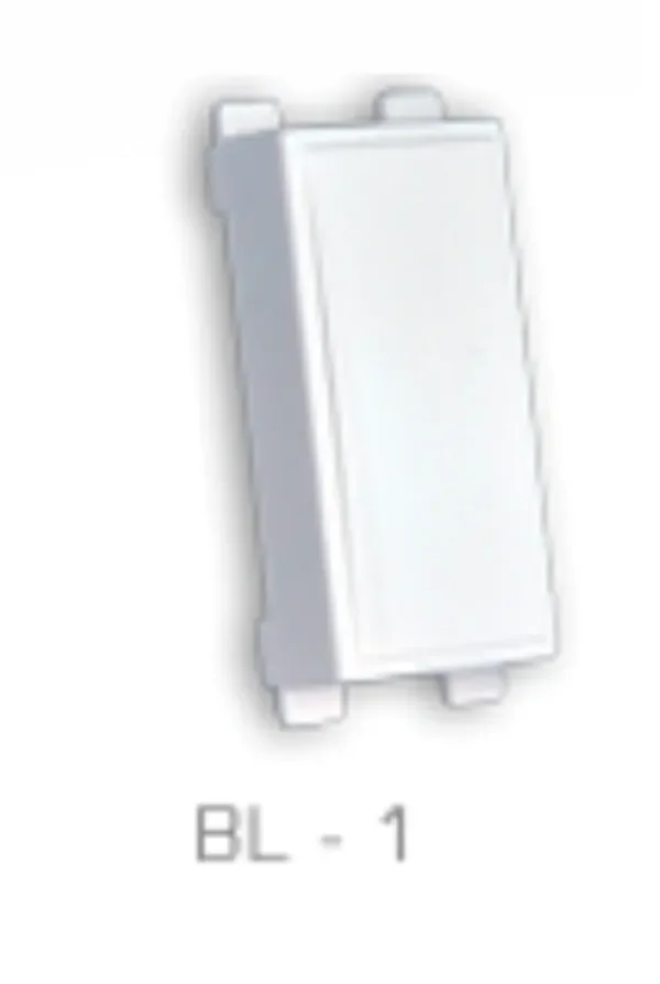 Leon International Blank Plate-White