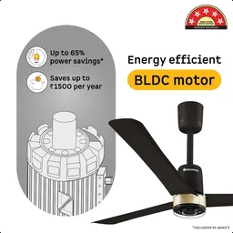 Atomberg Renesa Elite Smart Ceiling Fan - 1200mm, Earth Brown
