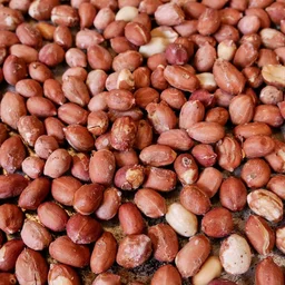 मूंगफली बादाम भुजा, Mungfali Badam Bhuja (LH)