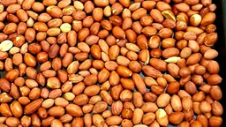 मूंगफली बादाम भुजा, Mungfali Badam Bhuja (LH) - 50g