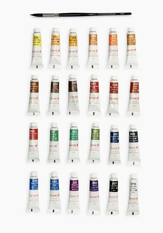 CAMEL Camlin 1305733 - CAM ARTIST WATER COLOUR TUBES 24 SHADES 9ML EACH (Set of 1, Multicolor)